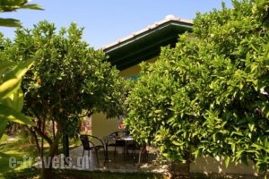 Villa Marina_best prices_in_Villa_Ionian Islands_Lefkada_Lefkada Chora