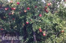 Perivoli House hollidays Perivoli House hollidays