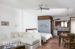 9 Muses hollidays 9 Muses hollidays