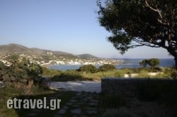 Villa Spitaki hollidays