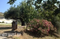 Nefeli'Studios hollidays Nefeli'Studios hollidays