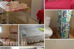 Andreas Maisonettes and Apartments hollidays Andreas Maisonettes and Apartments hollidays