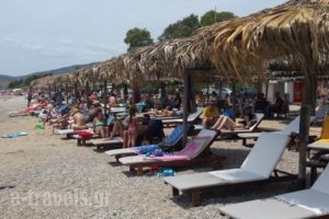 Argolic Strand Camping_best deals_Hotel_Peloponesse_Arcadia_Astros