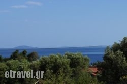 Sunny Apartments Halkidiki hollidays