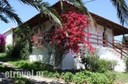 Holiday Home Aghia Triada hollidays Holiday Home Aghia Triada hollidays
