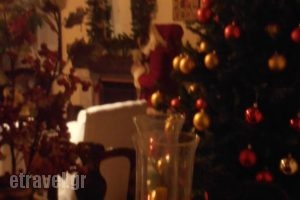 Guesthouse Drimos_lowest prices_in_Hotel_Thessaly_Karditsa_Oxia