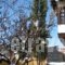 Archontiko Dintsiou_holidays_in_Hotel_Macedonia_Grevena_Grevena City