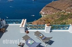 Golden Grey Goose hollidays