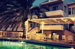 Amaryllis hollidays Amaryllis hollidays