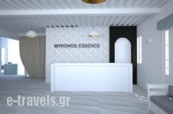 Mykonos Essence Hotel  