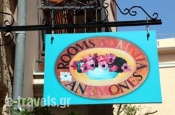 Anemones Rooms  
