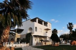 Paradiso Boutique Hotel hollidays Paradiso Boutique Hotel hollidays