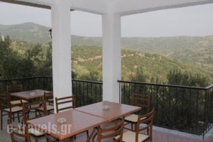 Guesthouse Arsenis_best deals_Hotel_Thessaly_Trikala_Kalambaki