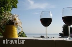 Paradise hollidays Paradise hollidays