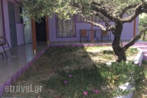 Alex's Studio_holidays_in_Hotel_Crete_Heraklion_Nea Alikarnassos