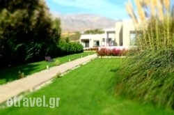 Plakiasites hollidays Plakiasites hollidays