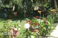 House'S Ouzanna hollidays