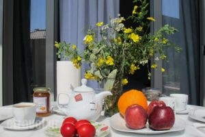 Socrates Organic Village - Wild Olive_holidays_in_Hotel_Central Greece_Aetoloakarnania_Mesologgi