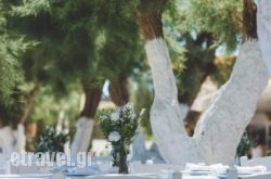 Beach House Antiparos hollidays Beach House Antiparos hollidays