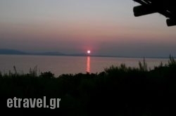 spitakia naxos hollidays spitakia naxos hollidays