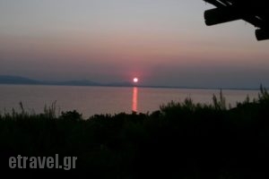 spitakia naxos_travel_packages_in_Cyclades Islands_Paros_Piso Livadi