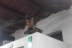 To Ellinikon hollidays To Ellinikon hollidays