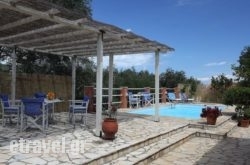 Bonzai Studios hollidays Bonzai Studios hollidays