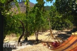 Temenia hollidays Temenia hollidays