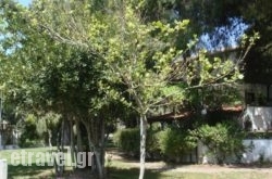 Para Thin Alos hollidays Para Thin Alos hollidays