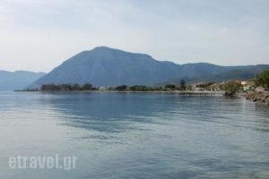 Hotel Antirrio_lowest prices_in_Hotel_Central Greece_Aetoloakarnania_Antirio
