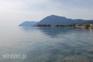 Hotel Antirrio_best deals_Hotel_Central Greece_Aetoloakarnania_Antirio