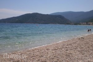 Areto Apartments_best deals_Apartment_Peloponesse_Argolida_Nafplio