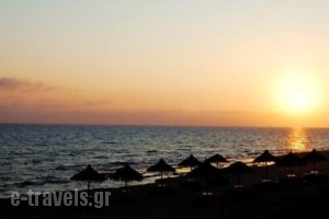 Dinos Studios_lowest prices_in_Hotel_Ionian Islands_Zakinthos_Zakinthos Rest Areas