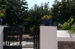 Alexandros House hollidays Alexandros House hollidays