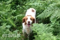 Knakion Filoxenia hollidays Knakion Filoxenia hollidays