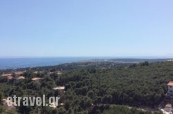 Villa Isida hollidays