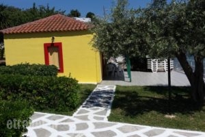 Makris Studios_best prices_in_Hotel_Central Greece_Fthiotida_Kamena Vourla