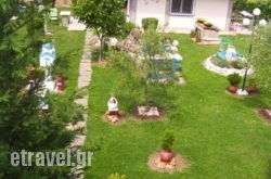 Verginia Studios hollidays Verginia Studios hollidays