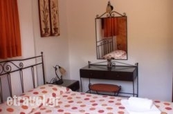 Aris - Vathy Studios hollidays