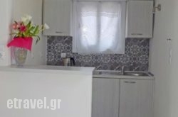 City Center Studio hollidays