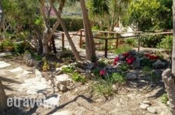 Villa Lofos Wood & Stone hollidays Villa Lofos Wood & Stone hollidays