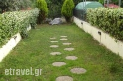 Alexandros hollidays Alexandros hollidays