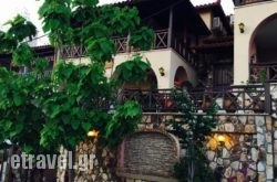 Dioni Apartments hollidays Dioni Apartments hollidays