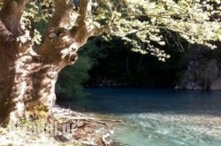 Xenonas To Tzaki hollidays Xenonas To Tzaki hollidays