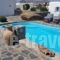 Chill Out Studio_holidays_in_Hotel_Cyclades Islands_Mykonos_Mykonos ora
