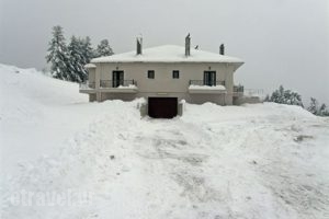 Epi Xenia Pandokos_holidays_in_Hotel_Central Greece_Evritania_Krikelo