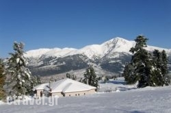 Epi Xenia Pandokos hollidays Epi Xenia Pandokos hollidays