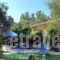 Rozalia Studios_best deals_Hotel_Ionian Islands_Lefkada_Sivota