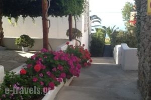 Evaggelia Studios & Apartments_holidays_in_Apartment_Cyclades Islands_Syros_Vari