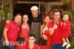 Hotel White Rose Beach hollidays